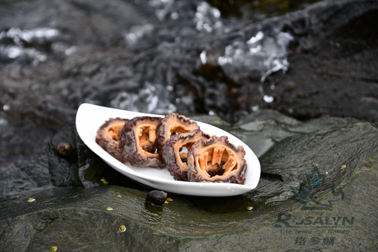 Rosalyn® Whole Cut Dried Sea Cucumber珞參麟® 整桶參 Atlantic Sea Cucumber