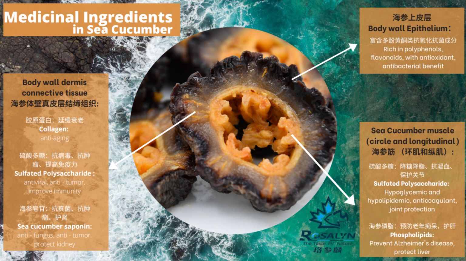Rosalyn® Whole Cut Dried Sea Cucumber珞參麟® 整桶參 Atlantic Sea Cucumber